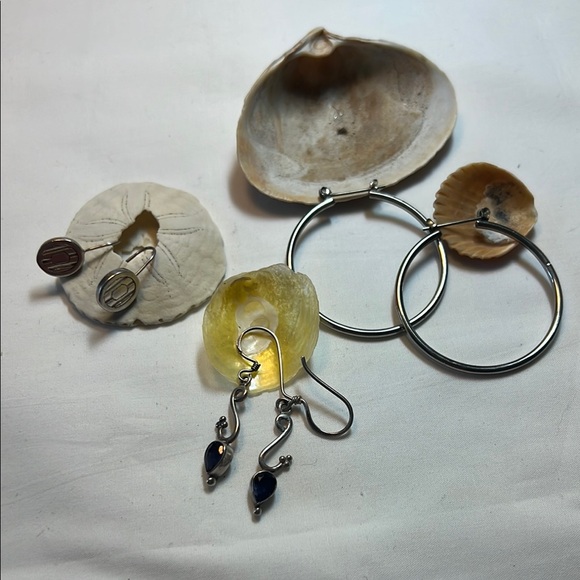 Jewelry - Elegant Silver and Purple Earrings